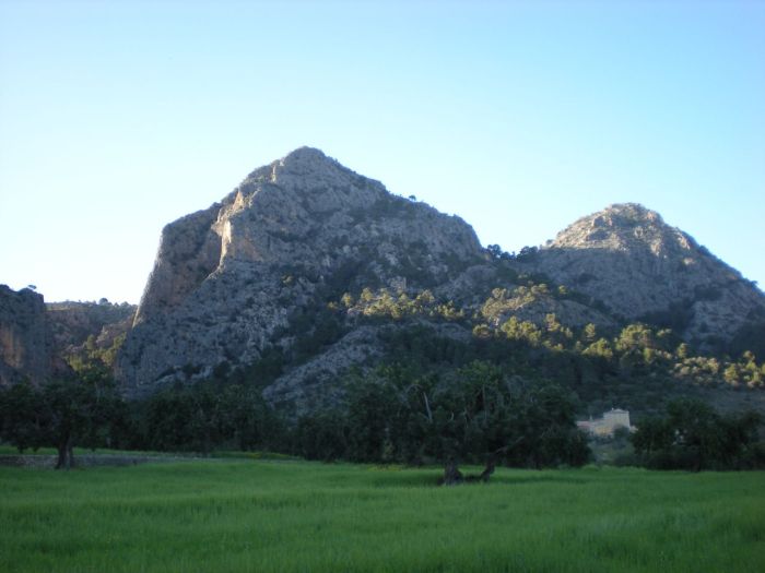 Alqueria Blanca showing its proximity to Sa Gubia